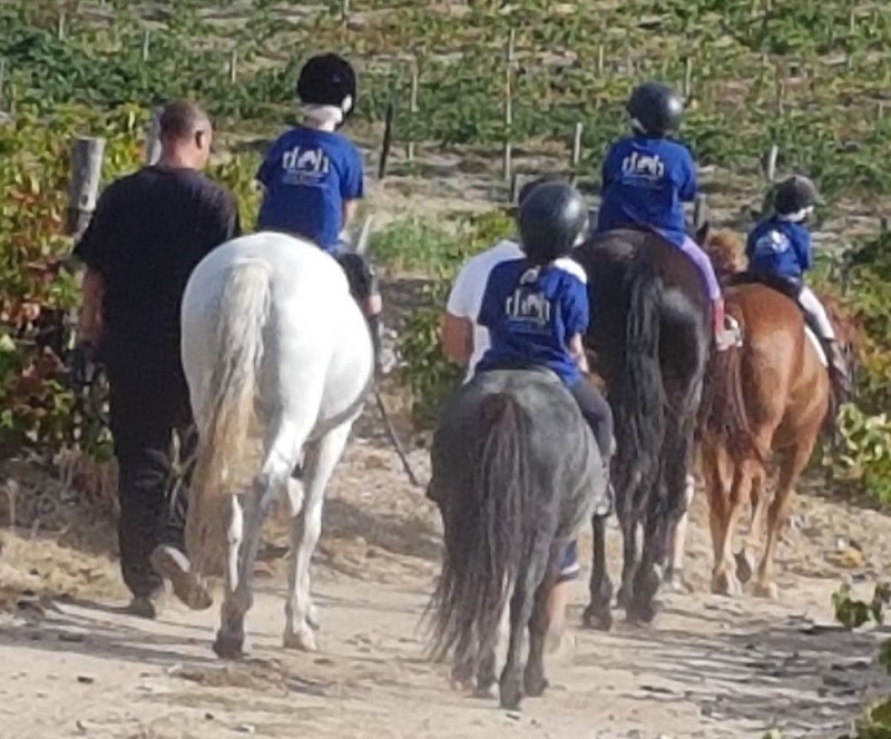 HoH horse riding