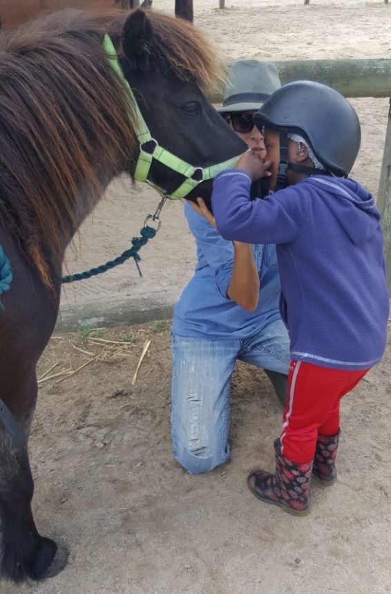 boy and horse