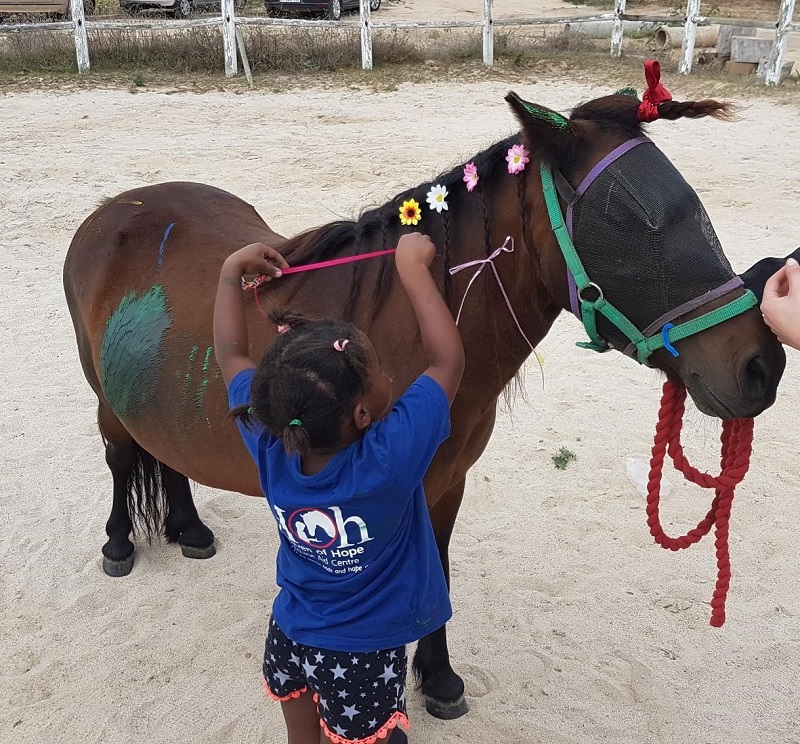 equine therapy